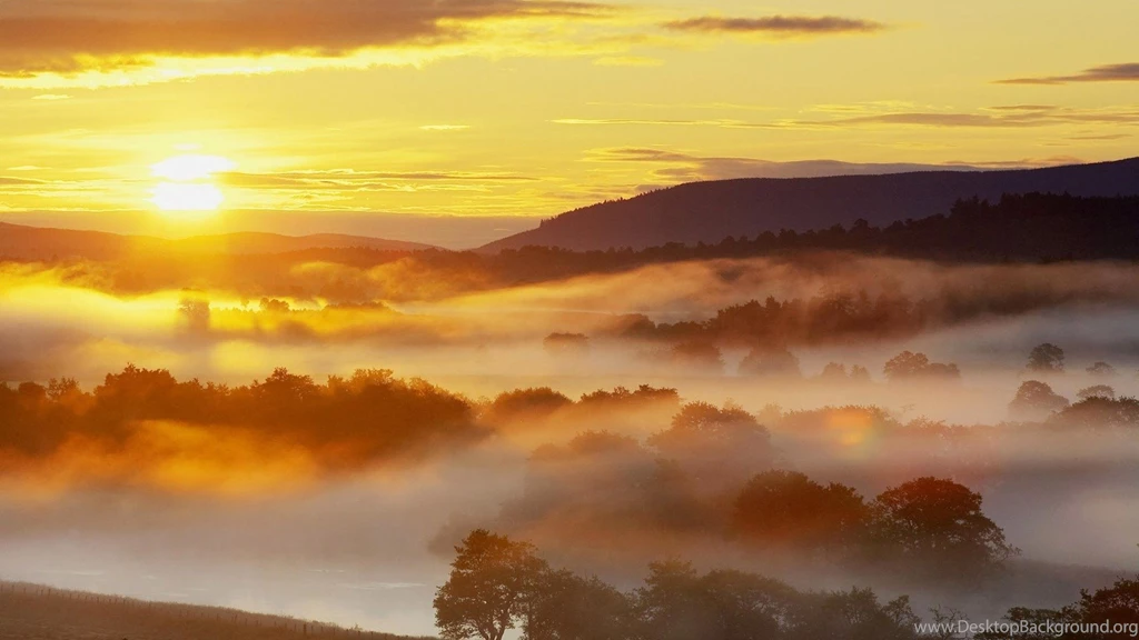 Morning Scenery