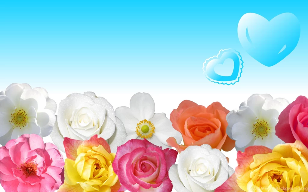Wallpaper, Flower, Power, World, Computer, Photo, Desktop ...