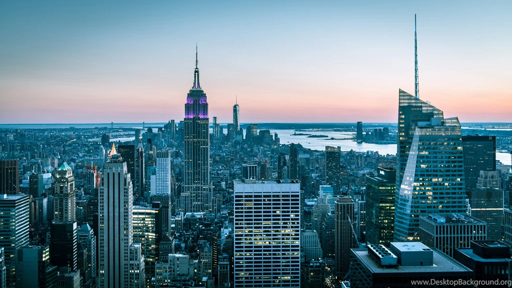 Pigeon Bird New York Buildings Skyscrapers Wallpapers
