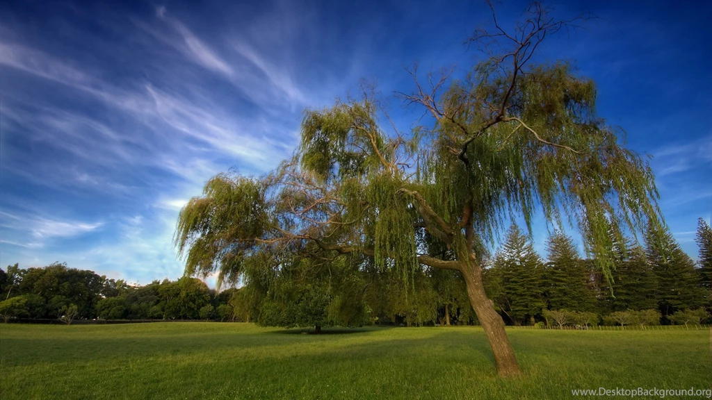 Wallpaper, Nature, Scene, Quality, Images, Best, High (