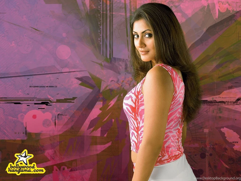 Rimi Sen   Cute Bollywood Actress : Indian Celebrities