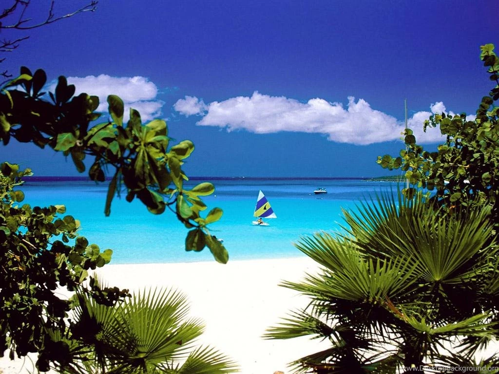 Galerie Wallpapers ]   Suntem Sursa Ta Zilnica De Wallpaper uri ...