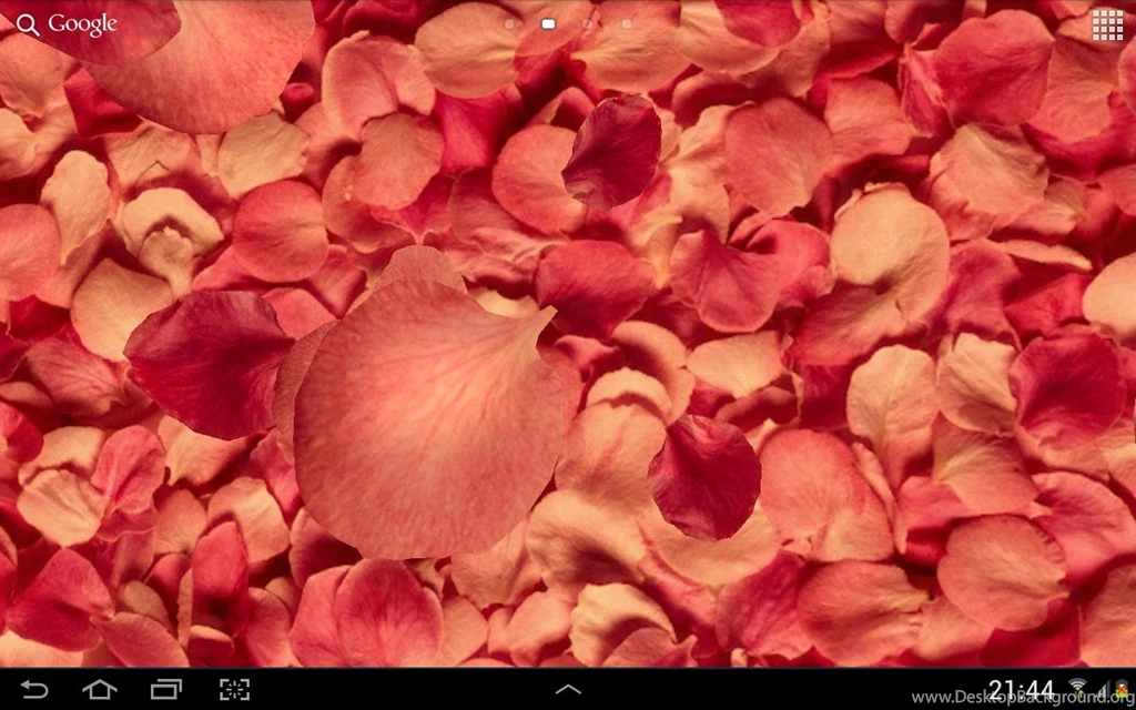 Petals 3D Live Wallpapers For Samsung Galaxy Tab 3 7.0 – Free ...