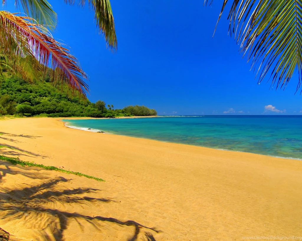 Gus Wallpaper: Summer Wallpapers For Desktop