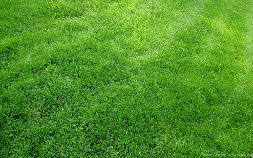 Download Wallpapers 3840x2400 Texture, Grass, Field, Green Ultra HD ...
