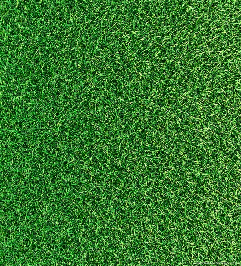 Print A Wallpapers Grass Texture Wallpapers By Print A Wallpapers ...