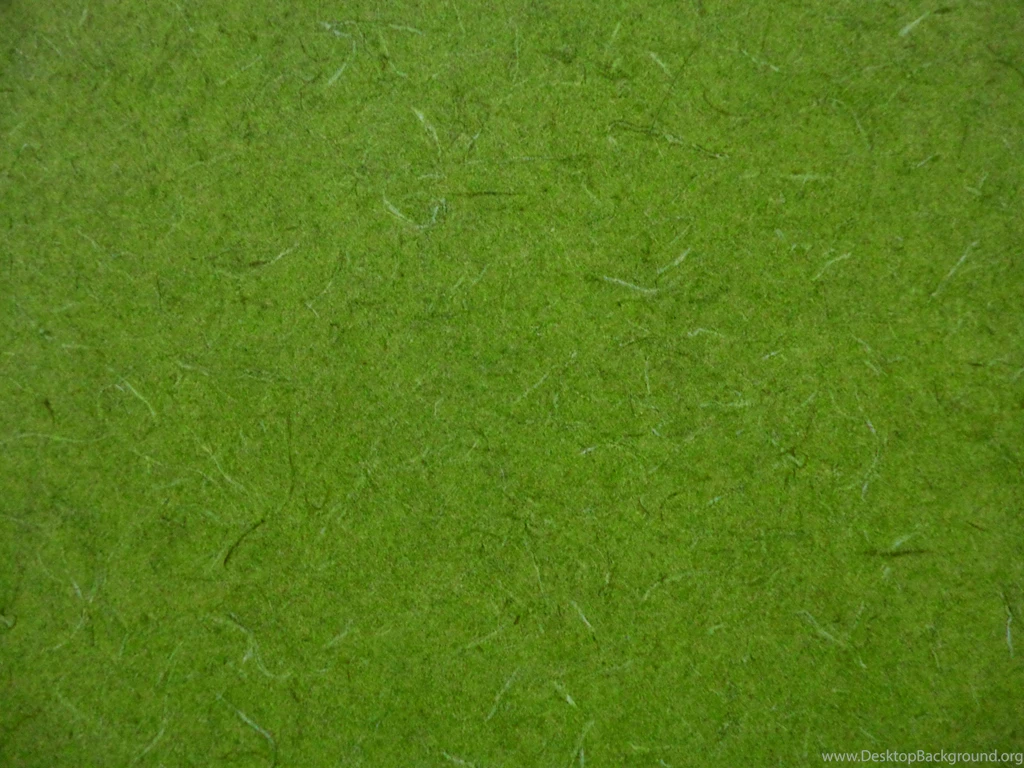Lime Hi Res Backgrounds Bing Images