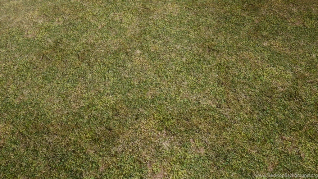 Grass Field Texture Bing Images