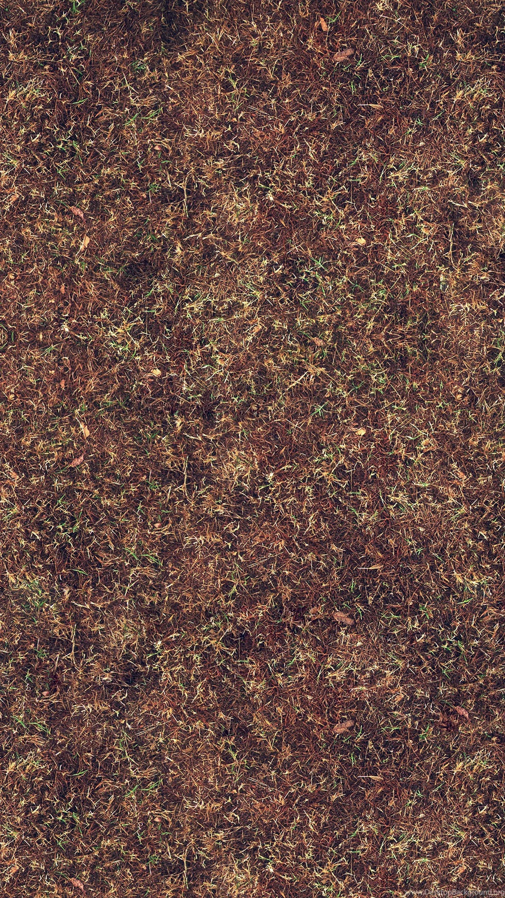 Wither Orange Grass Texture Pattern Backgrounds iPhone 6 Wallpapers ...