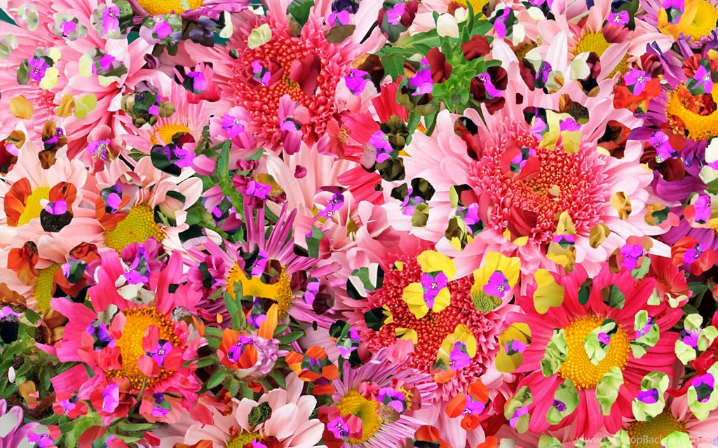 Floral Wallpapers Tumblr Wallpapers HD Awesome 1043 WallOXS ...