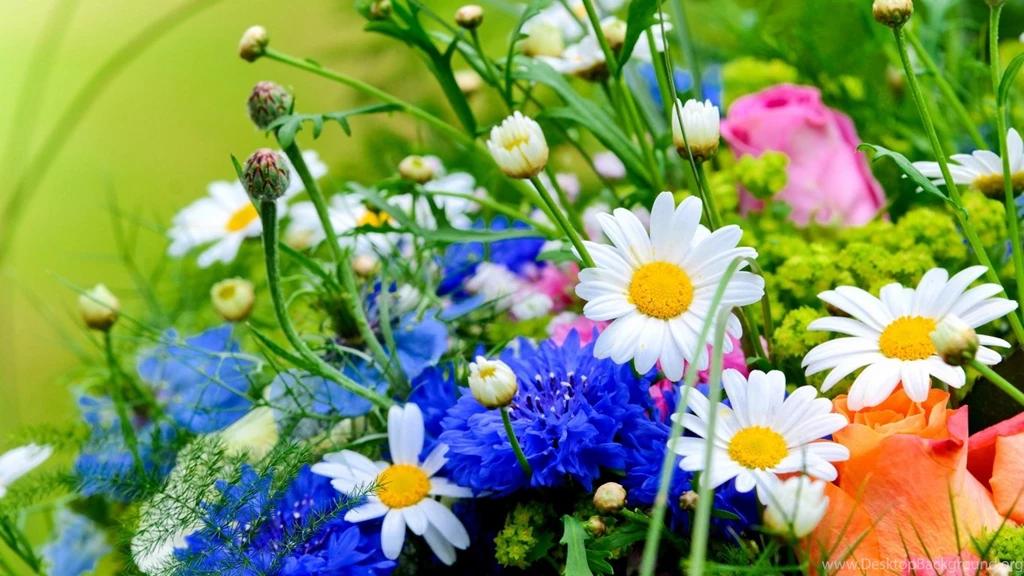 1366x768 Flowers And Herbs Wallpapers