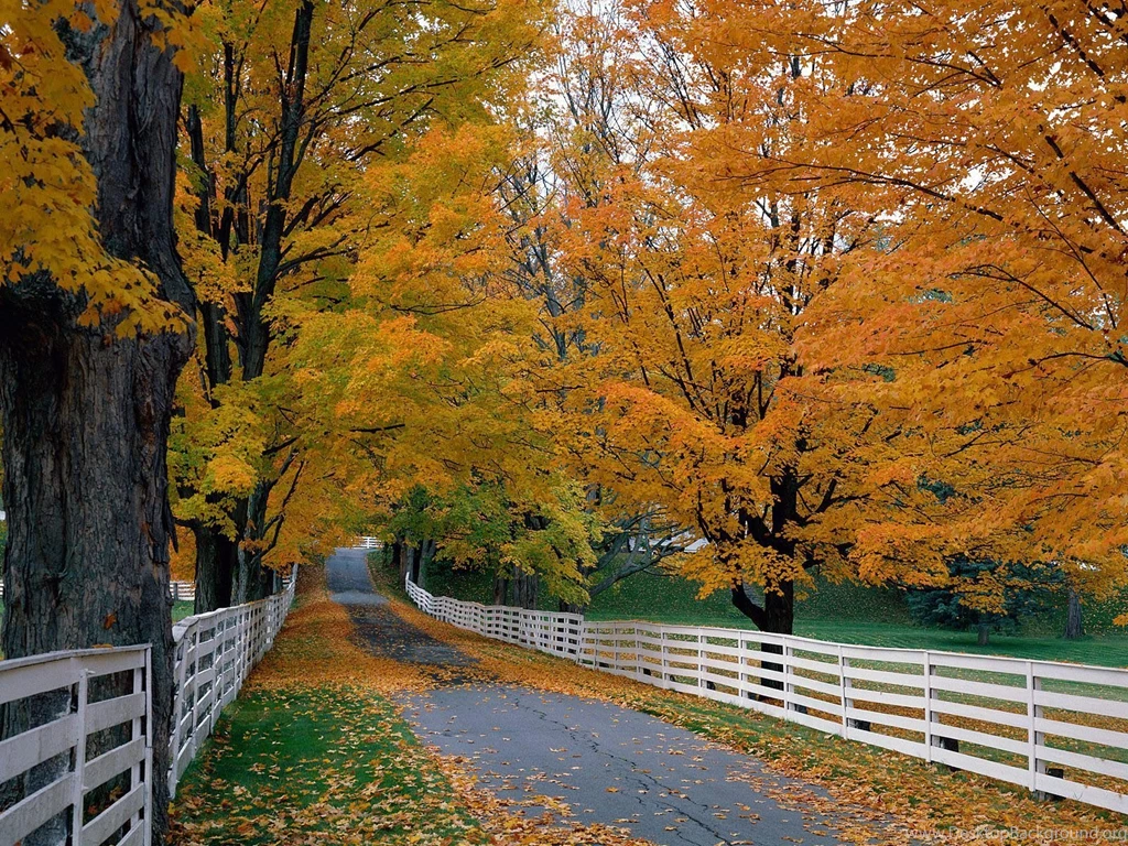 Top 35 Beautiful And Fabulous Paths Wallpapers In HD