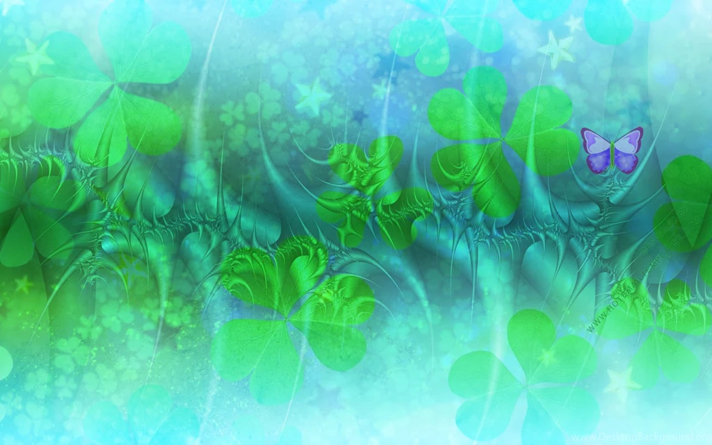 Rainforest
