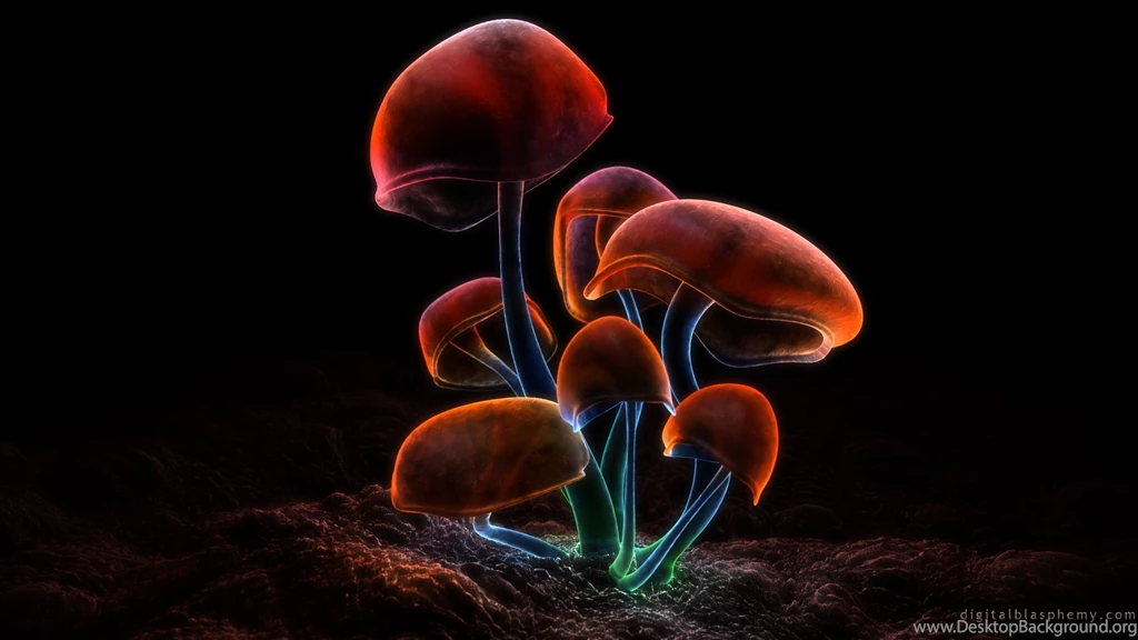 Funky Shrooms By SkyneHad On DeviantArt