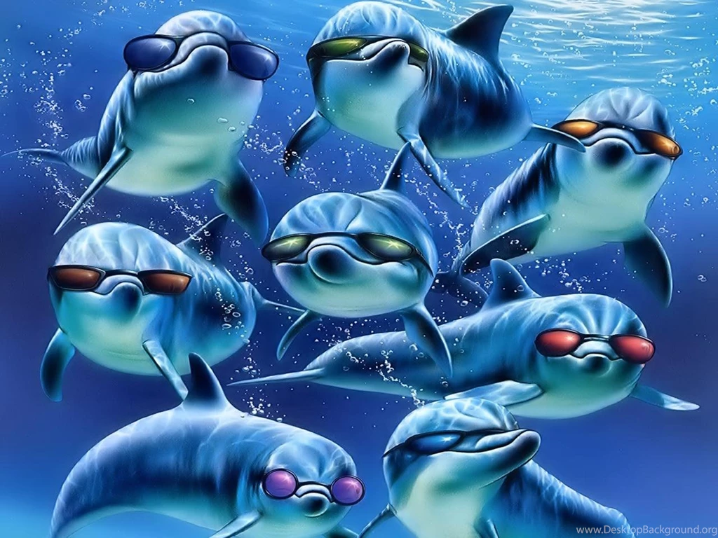 Dolphin Desktop Wallpapers Wallpapers Cave