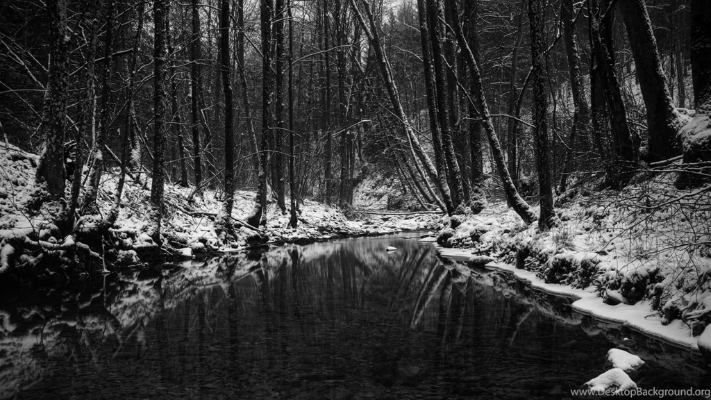 2560x1440 Winter In Black And White Desktop PC And Mac Wallpapers