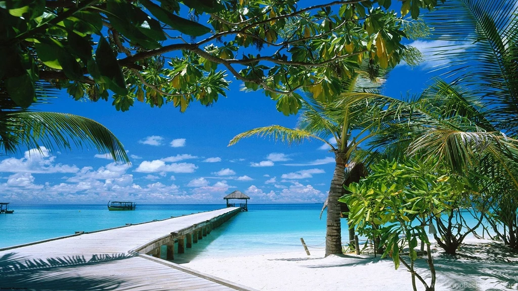 Wallpapers 2560x1440 Azur Sea With Palm Trees And A Long Dais