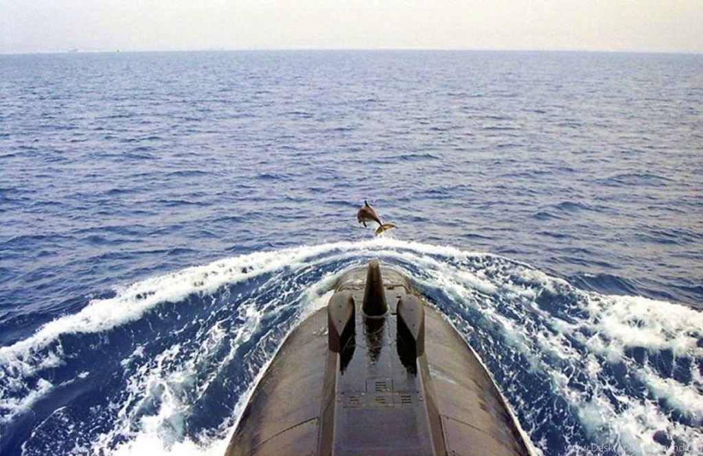 Dolphins: Dolphin Submarine Cool Picture Desktop Wallpapers For HD ...