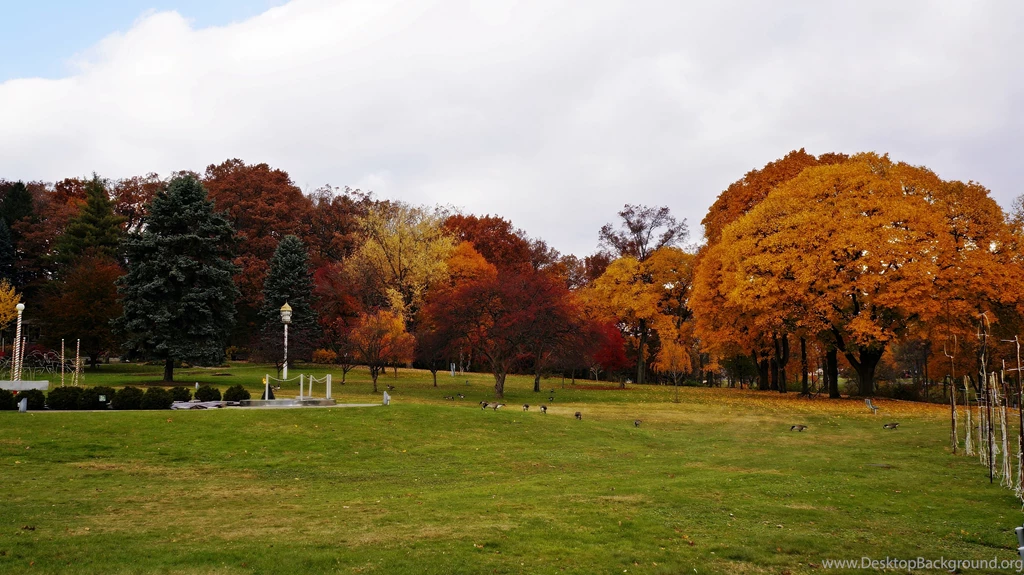 Forests: Autumn Park Peaceful Scenic Tranquil Free Desktop ...