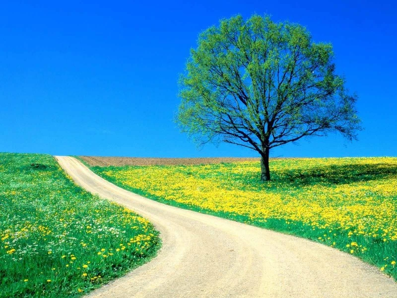 Beautiful Wallpapers Com Wallpapers HD Fine