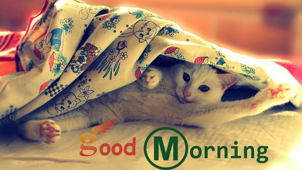 Shayari Hi Shayari: Wallpapers Good Morning Images ,Hindi Shayari ...