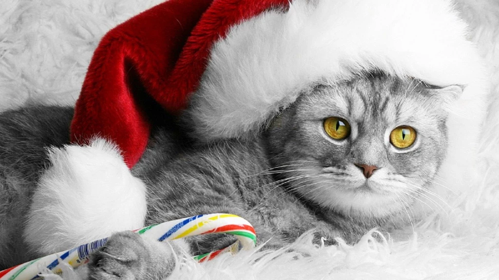 Christmas Kitty Computer Wallpapers, Desktop Backgrounds ...
