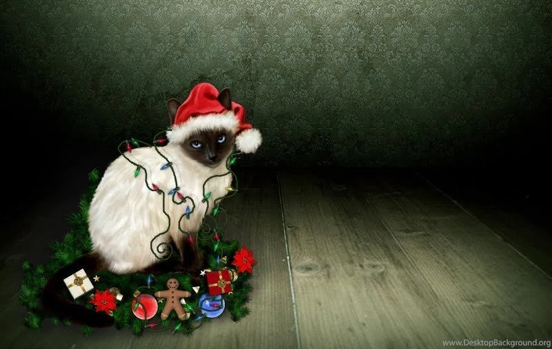 Christmas Kitty Wallpapers