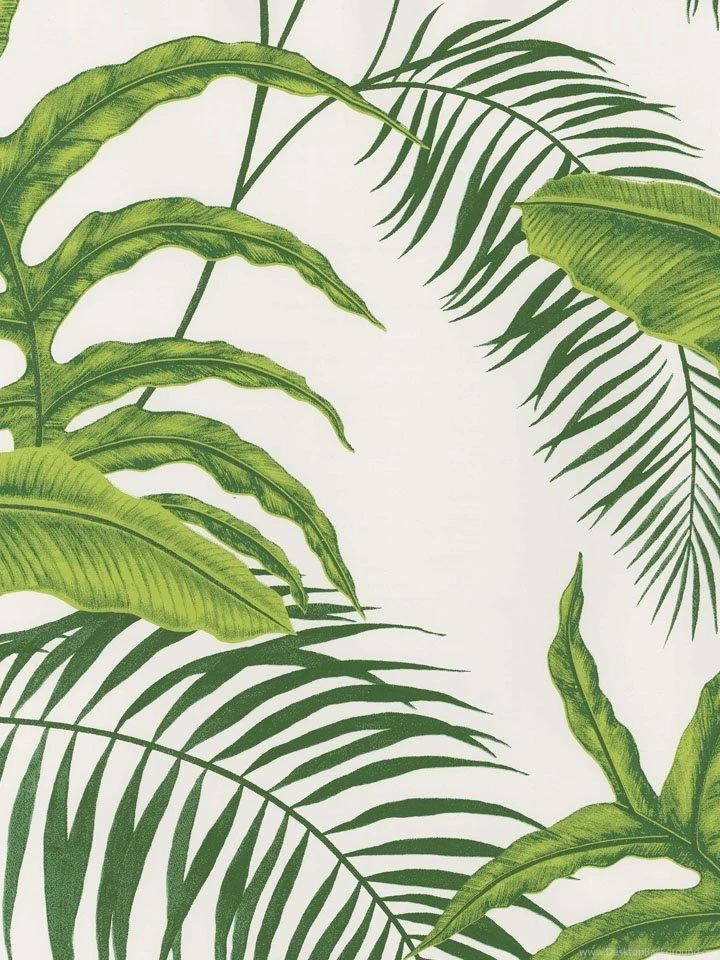 Fpc  BT154744 ― Eades Discount Wallpapers & Fabric Seabrook ...