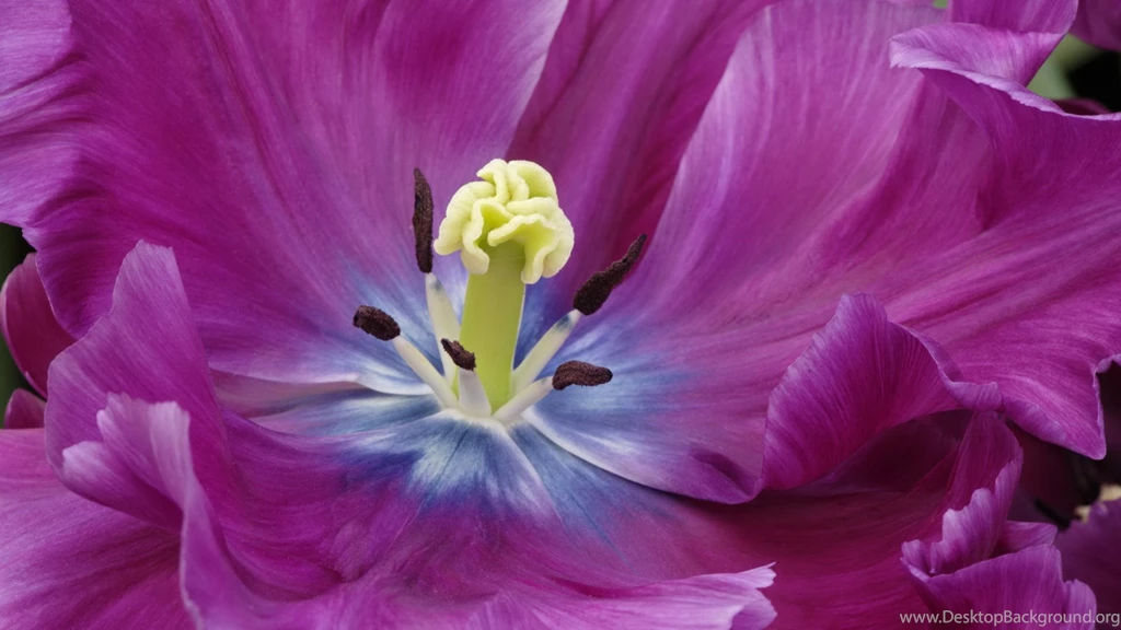 Computers Wallpapers — Free Full HD Wallpaper. Widescreen HQ ...