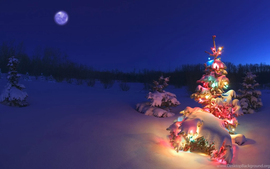 Christmas Tree Wallpapers For 2015 In HD & Facts