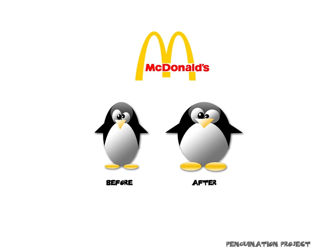 Funny Quotes Wallpapers, Funny Quotes, Quotes Images.   FUN Box