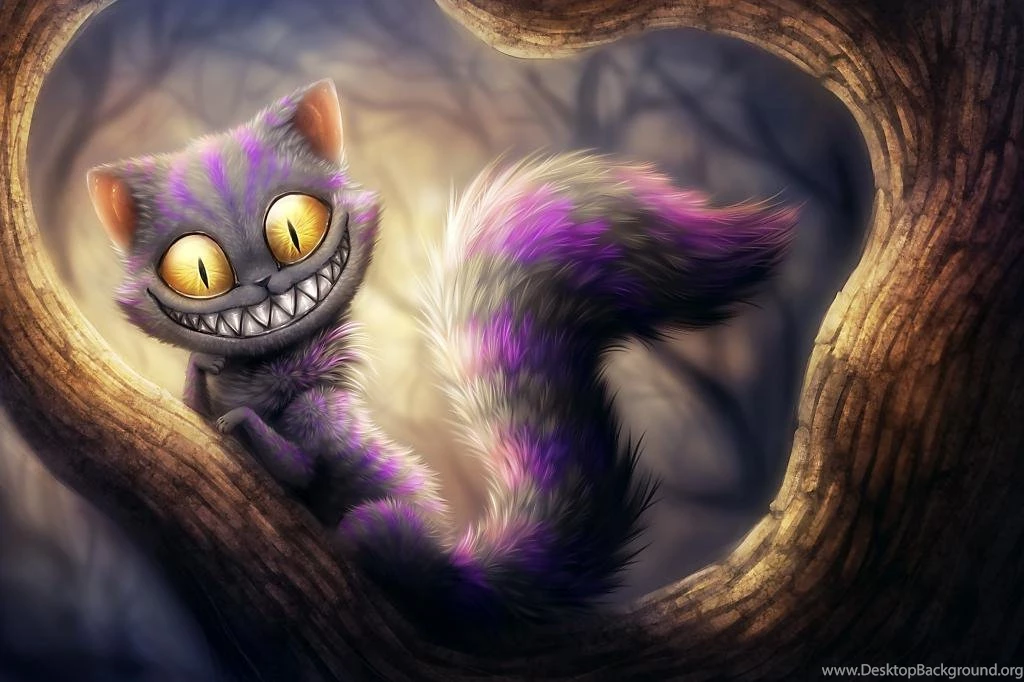 Crazy Cat Wallpapers For Android Android Live Wallpapers Download ...