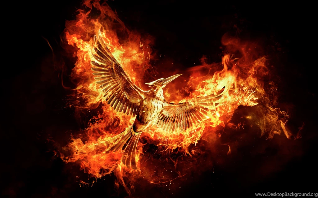 Hunger Games Mockingjay Part 2 Wallpapers