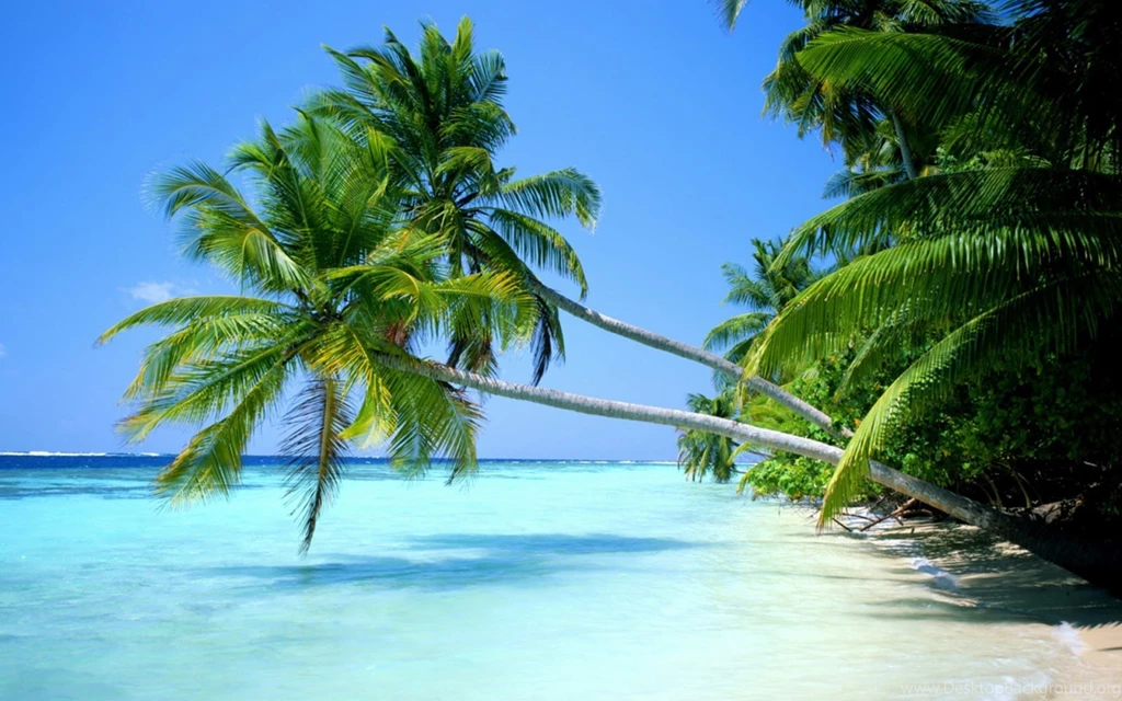 Nature In High Resolution For Free. Get Desktop Wallpapers Nature ...