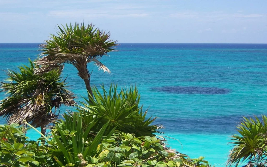 Free High Definition Wallpapers   HD Wallpapers Pretty