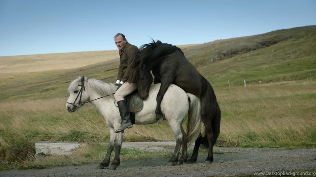 New Directors/New Films Festival's First Phase Of Lineup ...