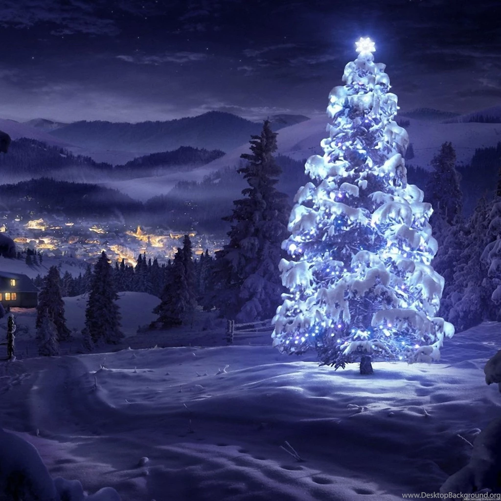 Christmas Tree Greeting Cards 1920x1920 Samsung Galaxy Note 3 ...