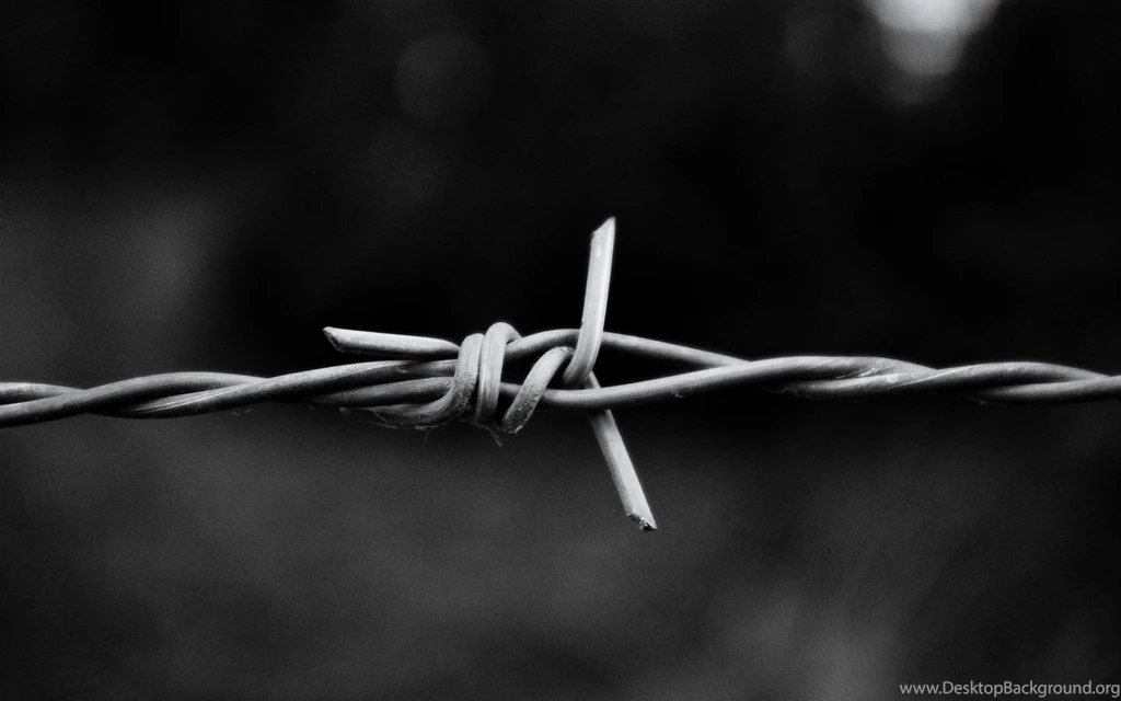 Metal, Monochrome, Macro, Barbed Wire :: Wallpapers