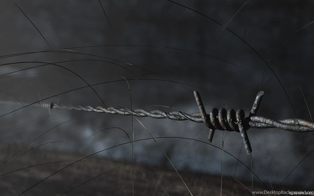22 Barb Wire HD Wallpapers
