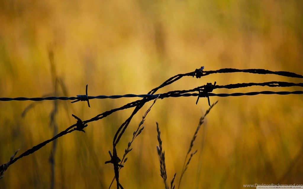 Download Barbed Wire Wallpapers   Wallpapers Printed