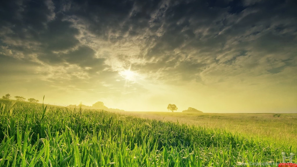 Superb Natural View Of Nature Wallpapers