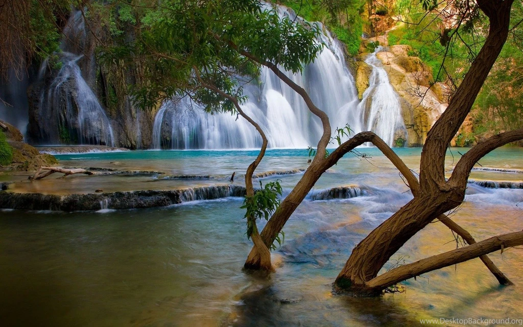 Wallpapers Of Lakes Green Nature View HD Backgrounds Wallpapers ...