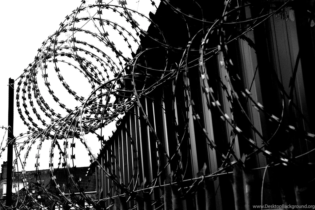 BARBED BARRIER WALLPAPER   (