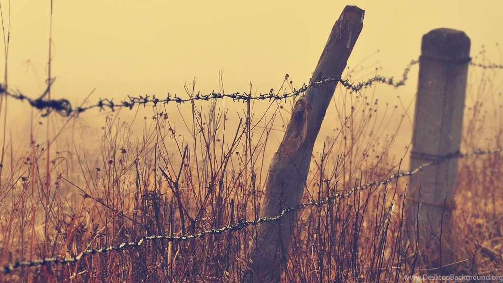 Barb Wire Wallpapers   Wallpapers Cave
