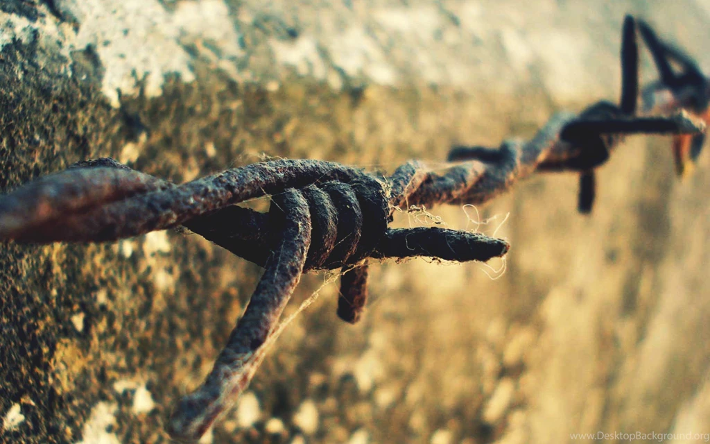 Rusty Barbed Wire Wallpapers And Images   Wallpapers, Pictures, Photos