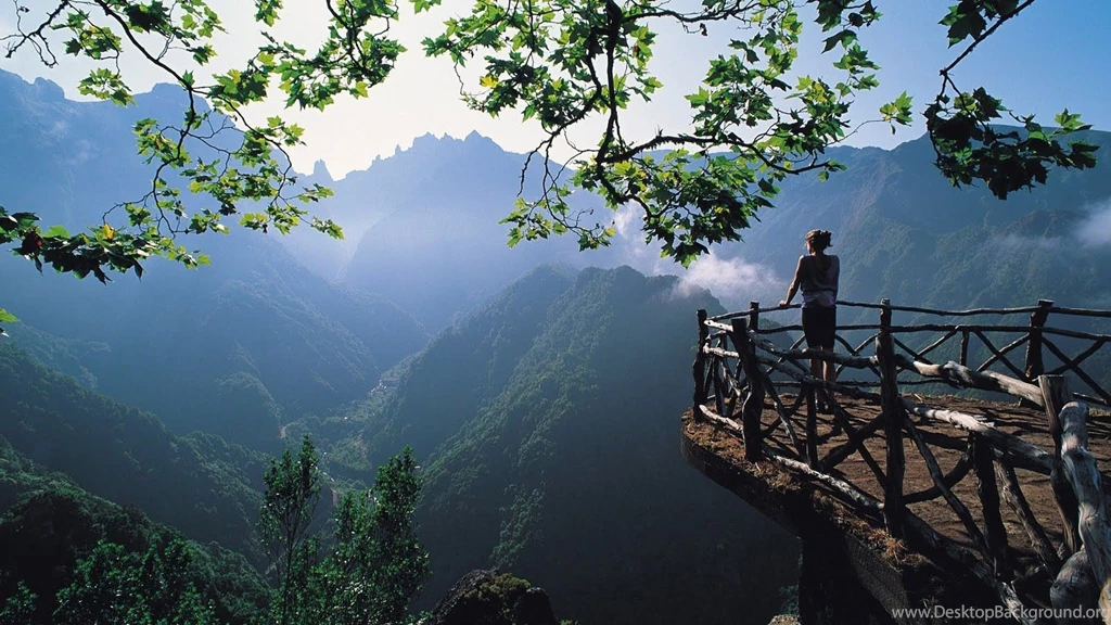 Fogg on mountains.jpg
