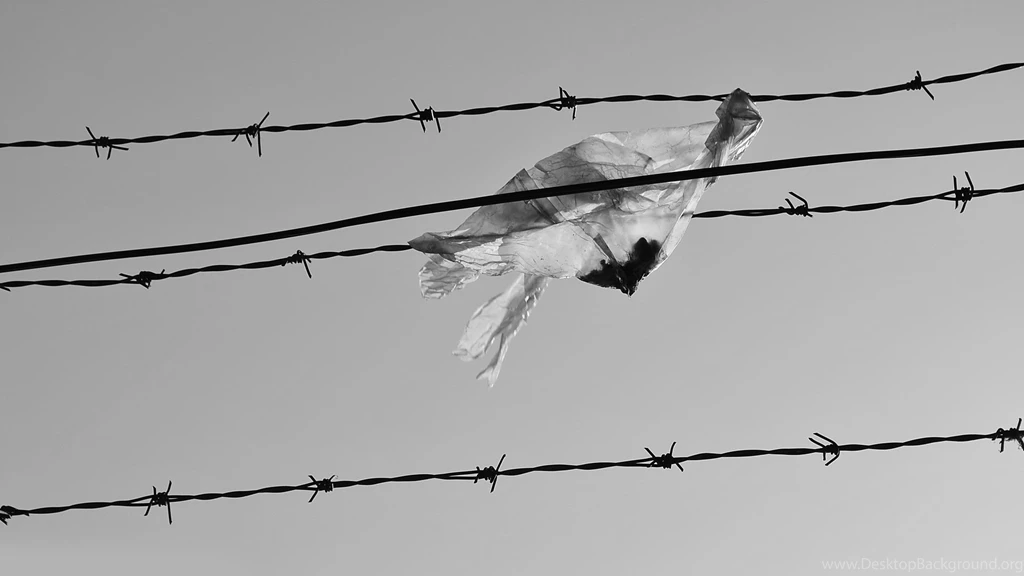 Plastic Bag Caught In Barbed Wire, Photography, 1920x1080 HD ...