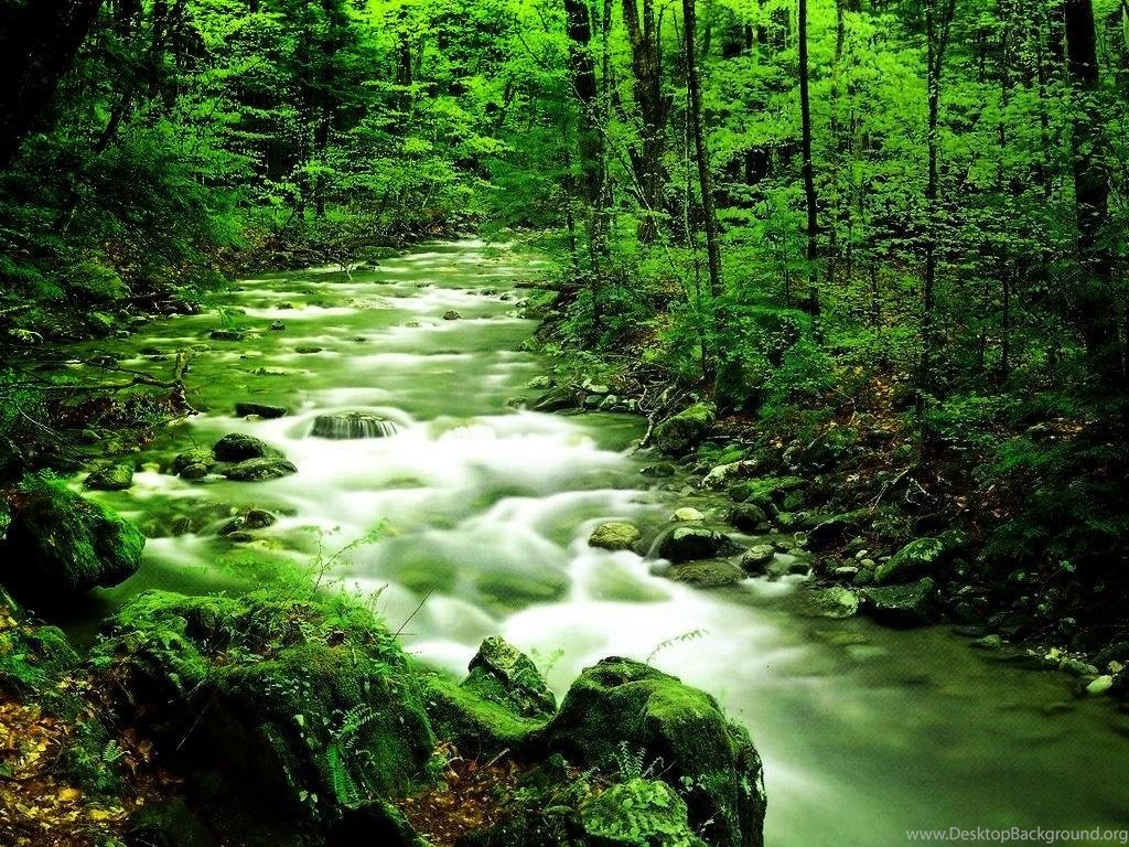 Justpict.com Nature Views Wallpapers