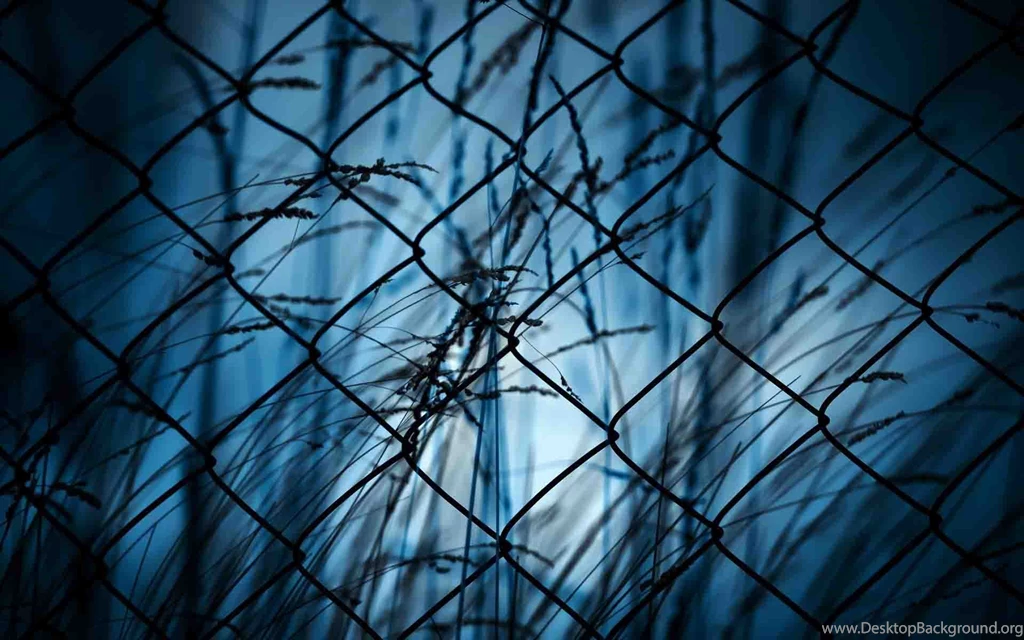 Barbed Wire BW HD Wallpapers Free Download