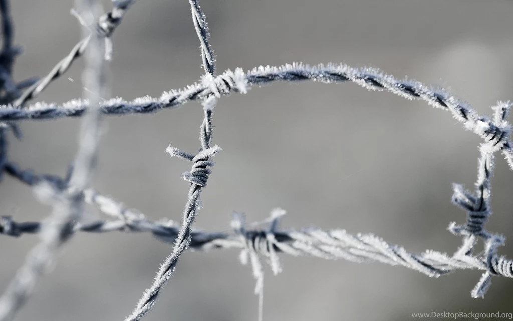 Barbed Wire Wallpapers And Images Wallpapers, Pictures, Photos